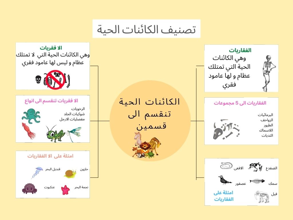 vertebrates الفقريات والا فقريات by Alaa hussien - Ourboox.com