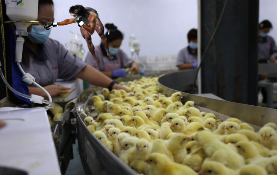 halamobama by alon bartal - Ourboox.com