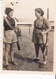 מלחמת המשפחות by assaf lev - Ourboox.com