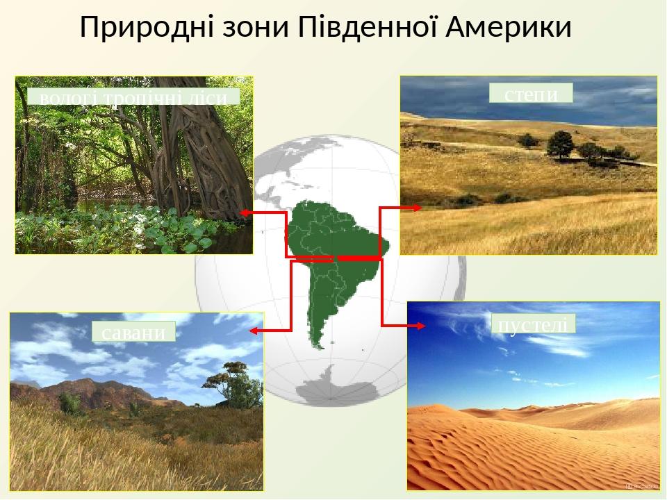 Рослинний і тваринний світ Південної Америки by Юлія Ільченко - Ourboox.com