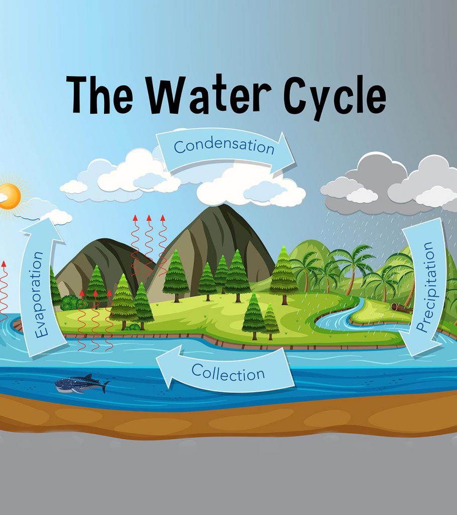 The Water Cycle by Abby Flynn - Illustrated by Shutterstock - Ourboox.com