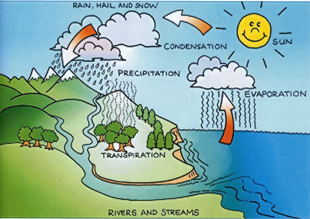 The Water Cycle by sara kennedy - Ourboox.com