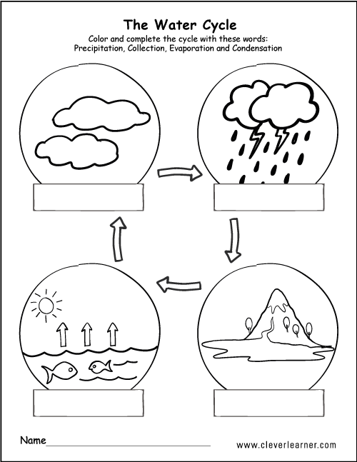 The Water Cycle by Abby Flynn - Illustrated by Shutterstock - Ourboox.com