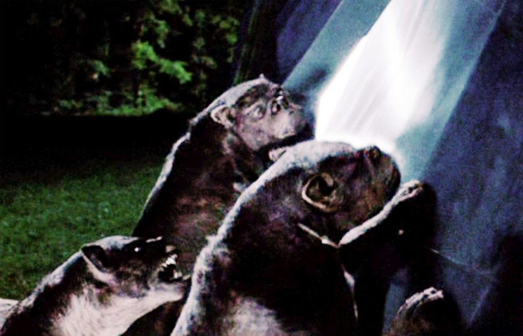 Worlds smallest novel by Liam Forth - Ourboox.com