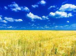 Шлях до Перемоги by Anastasia Belous - Ourboox.com