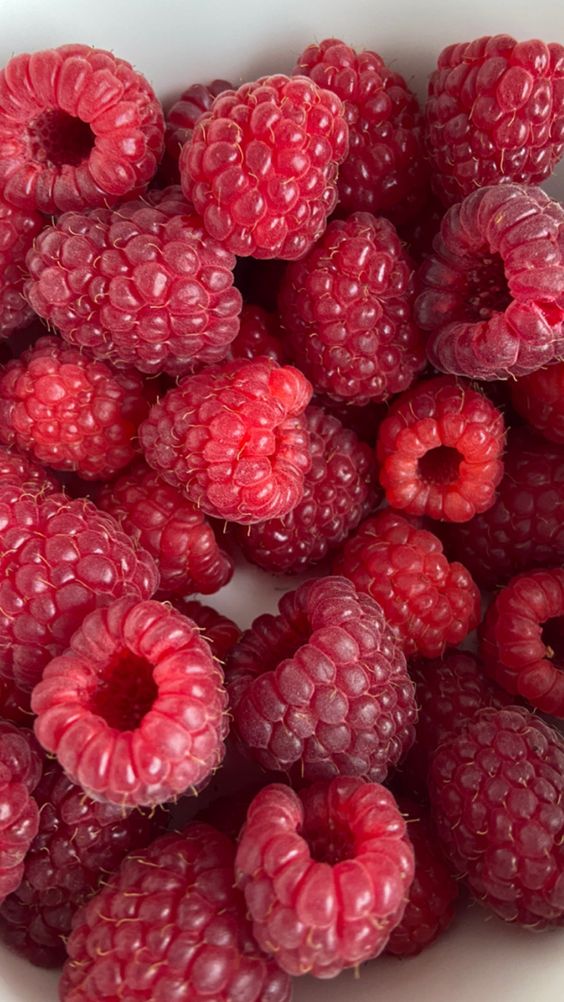 PRO харчування by Yaroslava Goncharuk - Ourboox.com