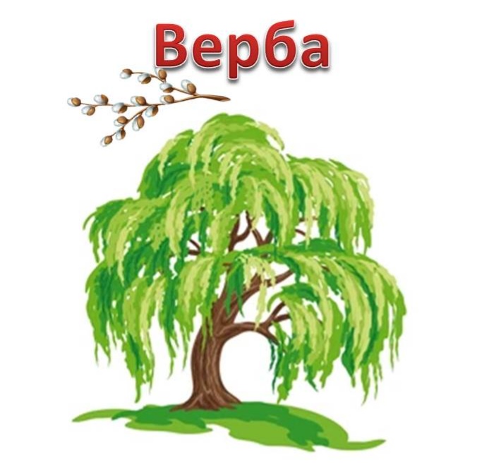 Народні символи України by Svitlana Maksymyshyn - Ourboox.com