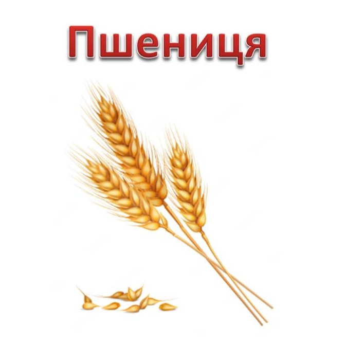 Народні символи України by Svitlana Maksymyshyn - Ourboox.com