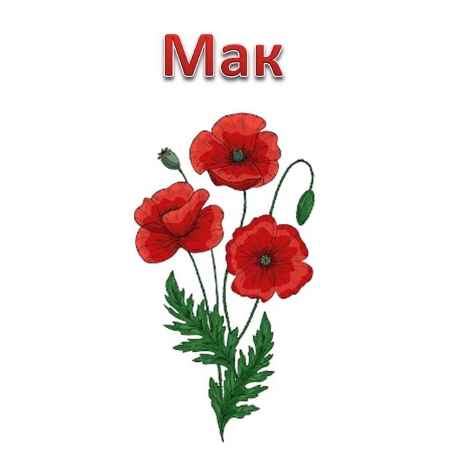 Народні символи України by Svitlana Maksymyshyn - Ourboox.com