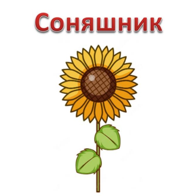 Народні символи України by Svitlana Maksymyshyn - Ourboox.com