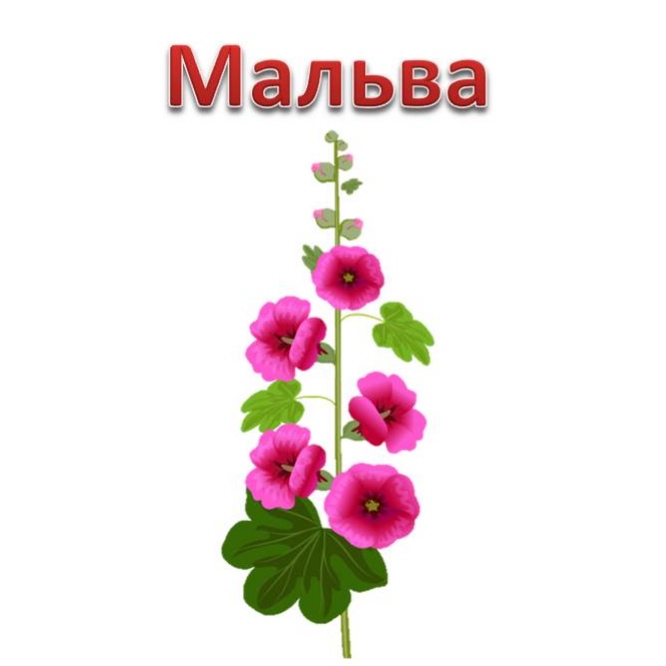 Народні символи України by Svitlana Maksymyshyn - Ourboox.com