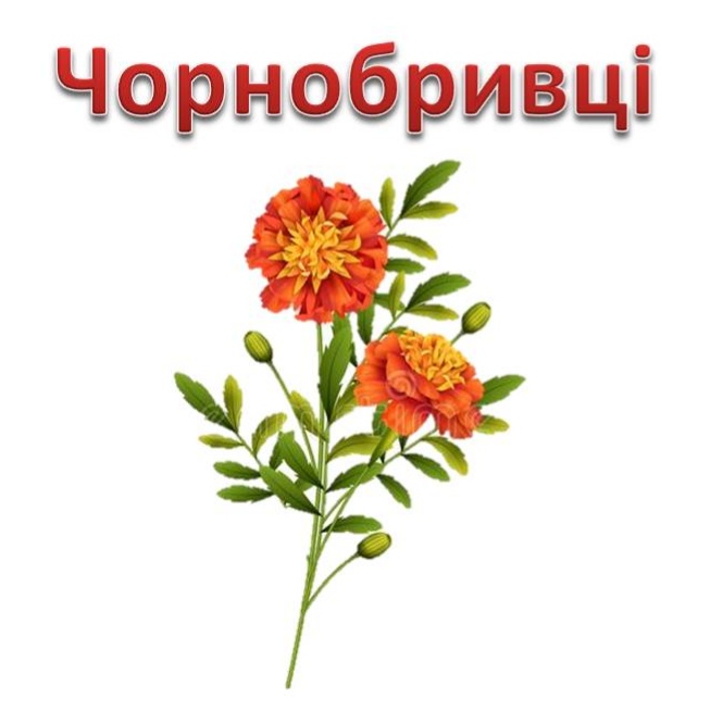 Народні символи України by Svitlana Maksymyshyn - Ourboox.com