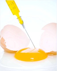 Молекулярні технології by Serhii - Ourboox.com