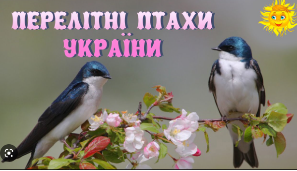 Перелітні птахи by AlonaKovalchuk - Ourboox.com