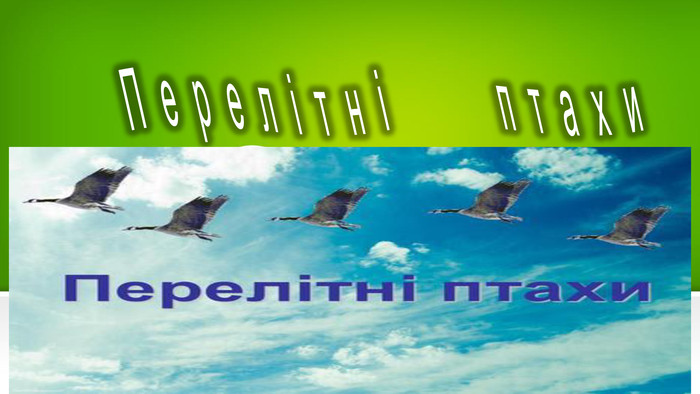 Перелітні птахи – це птахи, які мігрують на великі відстані, часто відлітаючи навіть на інший континент.
