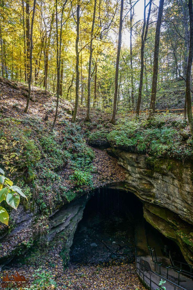 The purple egg By Shahar Arell & Aya Avinoam. by shahararell - Ourboox.com