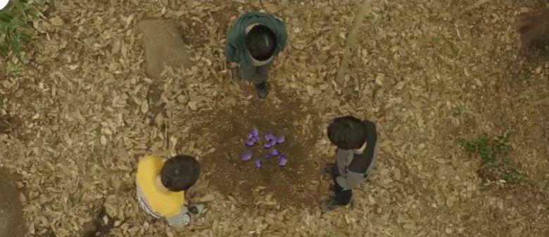 The purple egg By Shahar Arell & Aya Avinoam. by shahararell - Ourboox.com