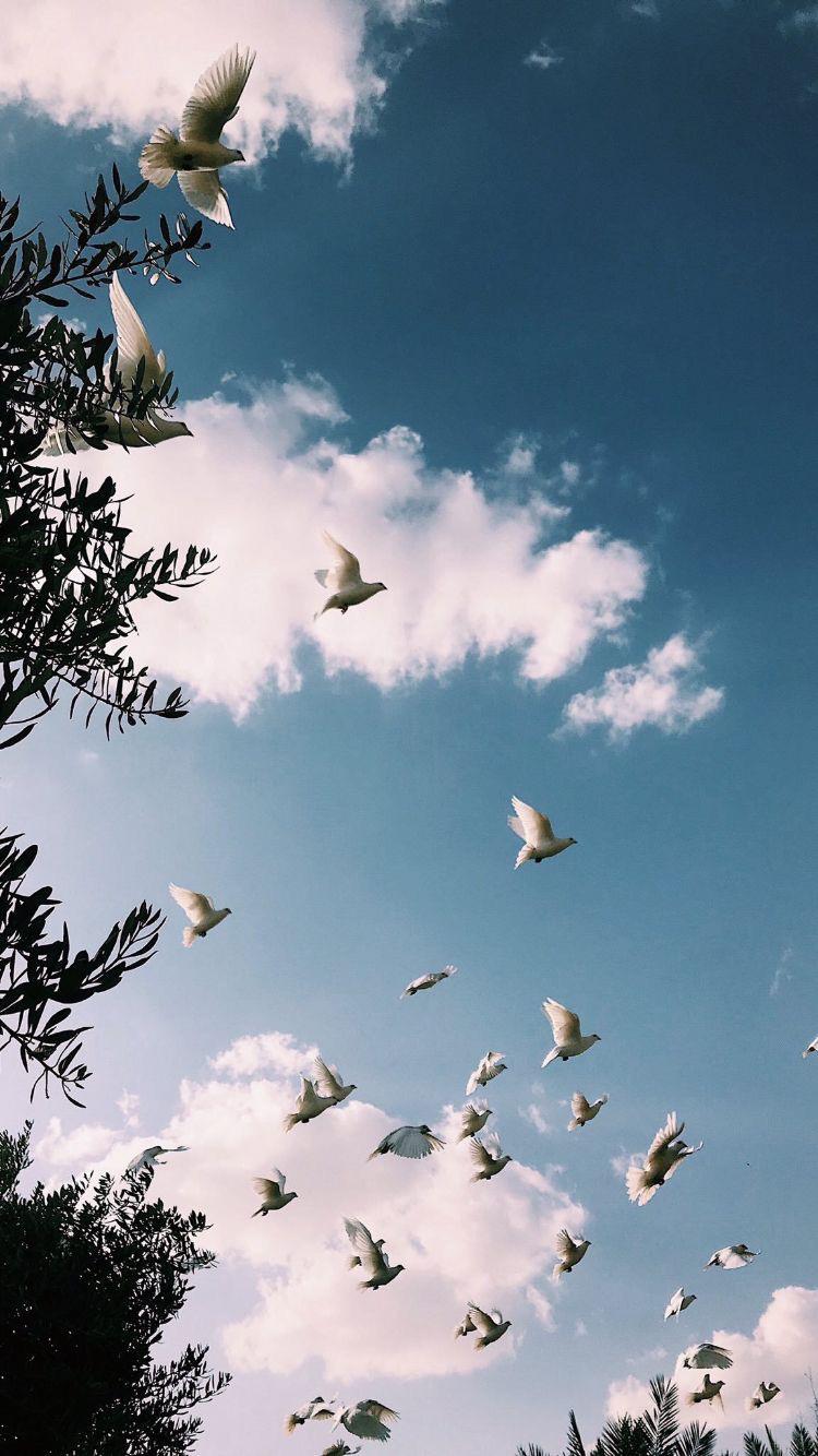 The purple egg By Shahar Arell & Aya Avinoam. by shahararell - Ourboox.com