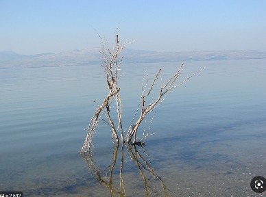 The water problem in Israel by Yuval Agunin - Ourboox.com