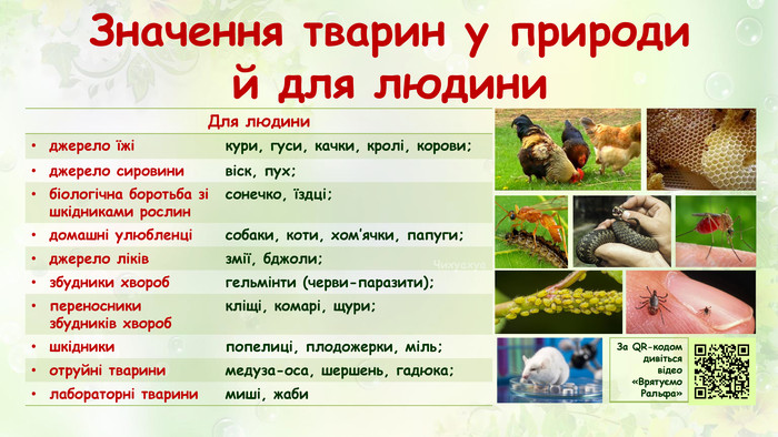 Охорона тварин. Значення тварин для природи і людини by Nataliia - Ourboox.com