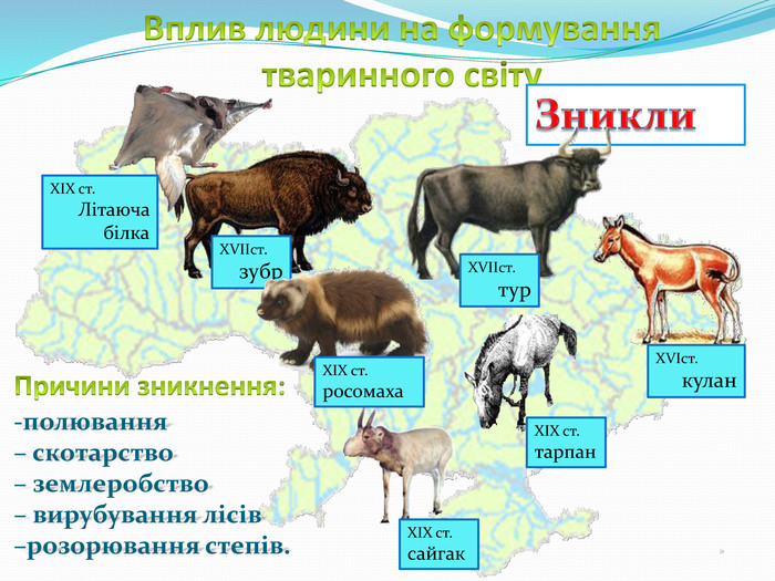 Охорона тварин. Значення тварин для природи і людини by Nataliia - Ourboox.com