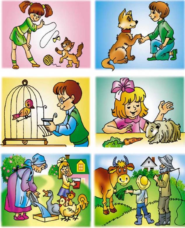 Охорона тварин. Значення тварин для природи і людини by Nataliia - Ourboox.com