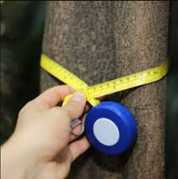 מטלה מסכמת- ניתוח התנהגות בגן by Gili  - Ourboox.com