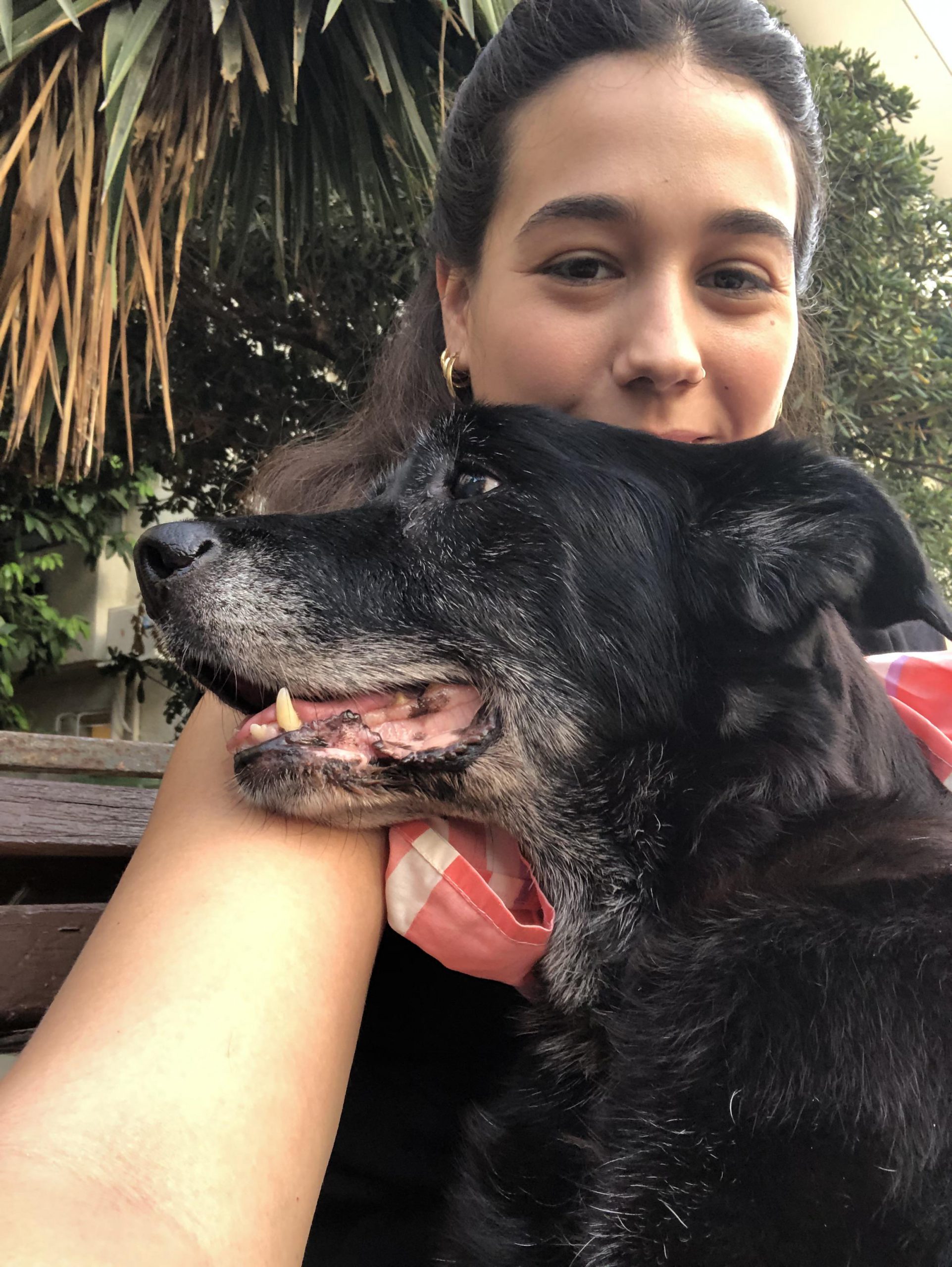 Lola by Adar Avni - Ourboox.com