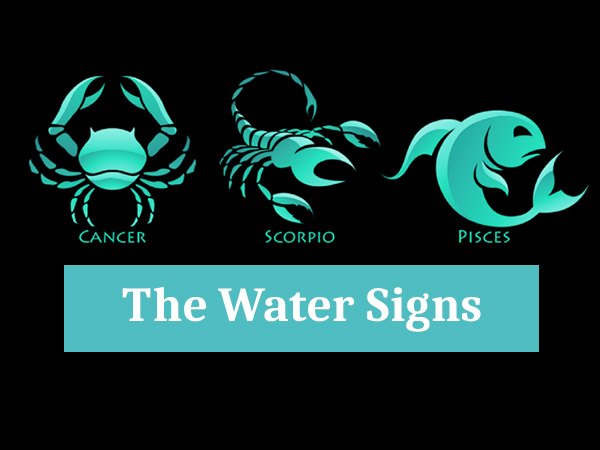 Water Zoadic signs by Osher Gabsi - Illustrated by osher gabsi - Ourboox.com
