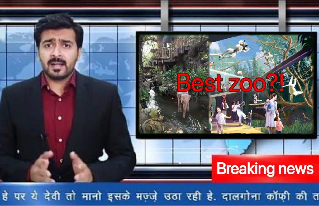 The Bear by Alon + Barry + Din + Elia - Illustrated by by :  - Ourboox.com