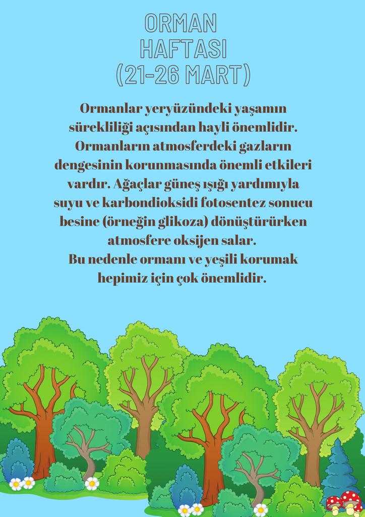 Sancaktepenin Keşif Gezegeni 15. Sayı by Keşif Gezegeni - Ourboox.com