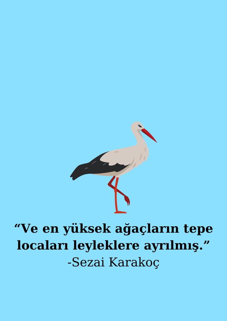 Sancaktepenin Keşif Gezegeni 15. Sayı by Keşif Gezegeni - Ourboox.com