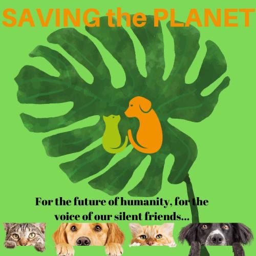 SAVING THE PLANET STUDENT PRE-EVALUATION SURVEY RESULTS by ruya yalcin - Illustrated by Rüya Yalçın - Ourboox.com