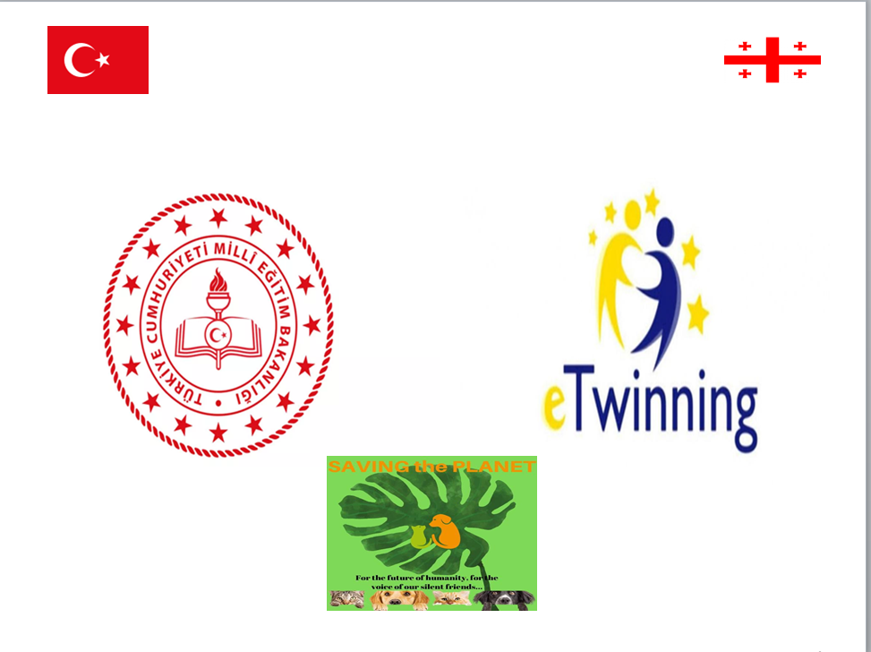 SAVING THE PLANET STUDENT PRE-EVALUATION SURVEY RESULTS by ruya yalcin - Illustrated by Rüya Yalçın - Ourboox.com