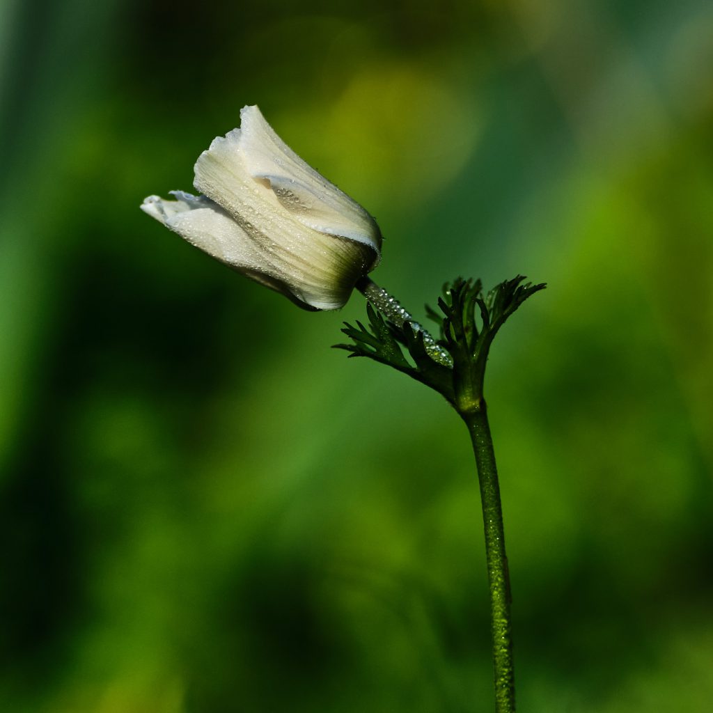 Relly.ART-2023 by Relly.Art - Ourboox.com