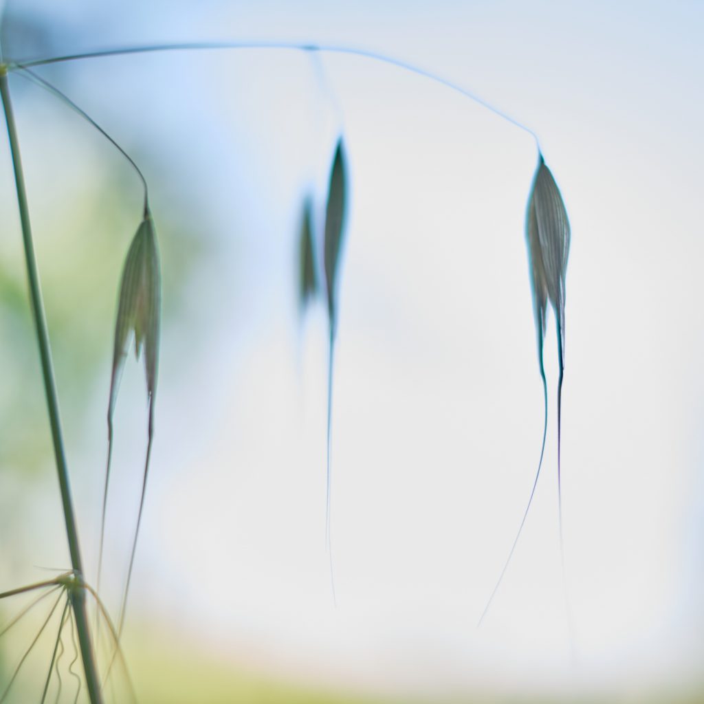 Relly.ART-2023 by Relly.Art - Ourboox.com