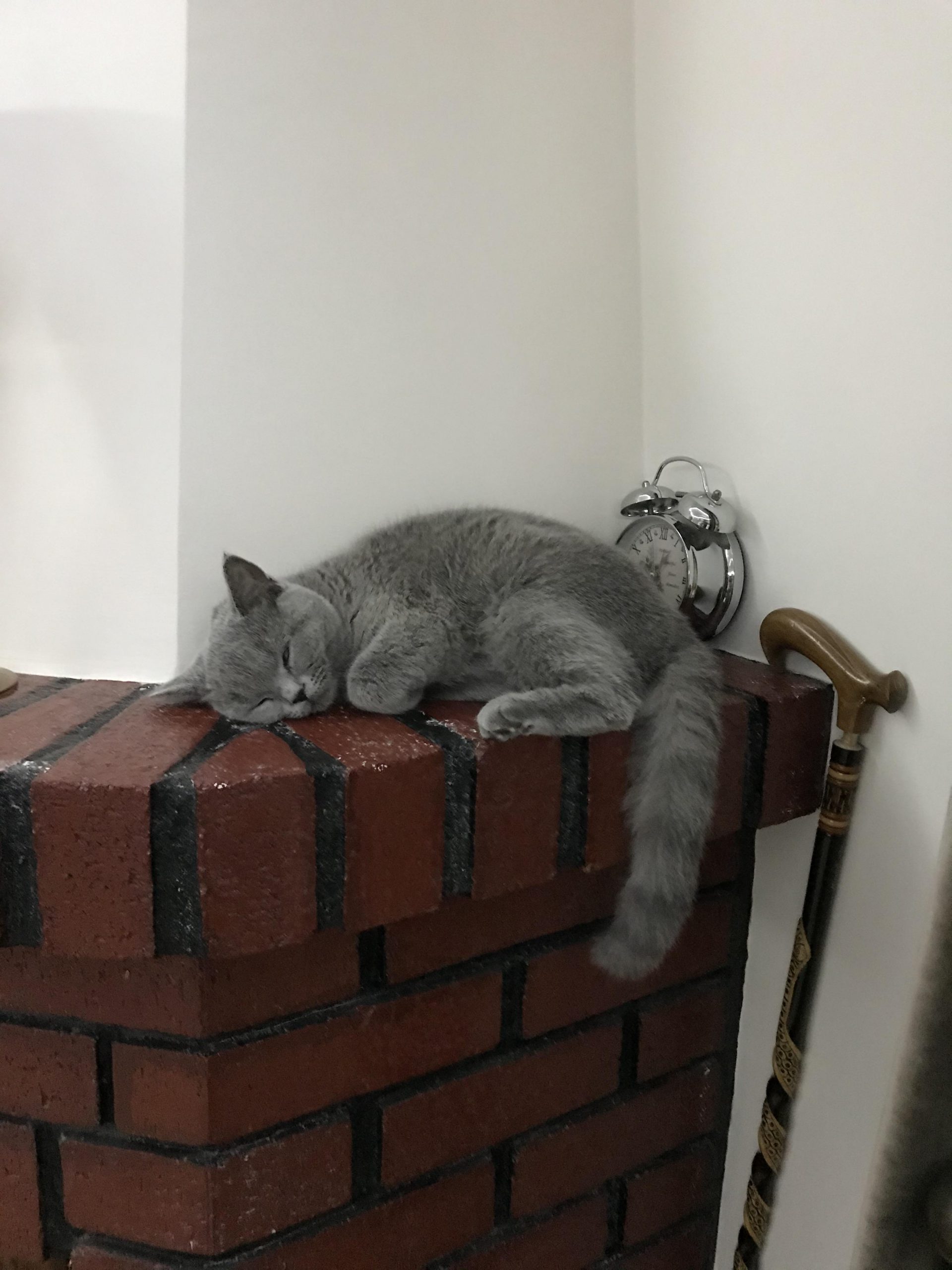 amatör by yasemin kurtulmuş - Ourboox.com