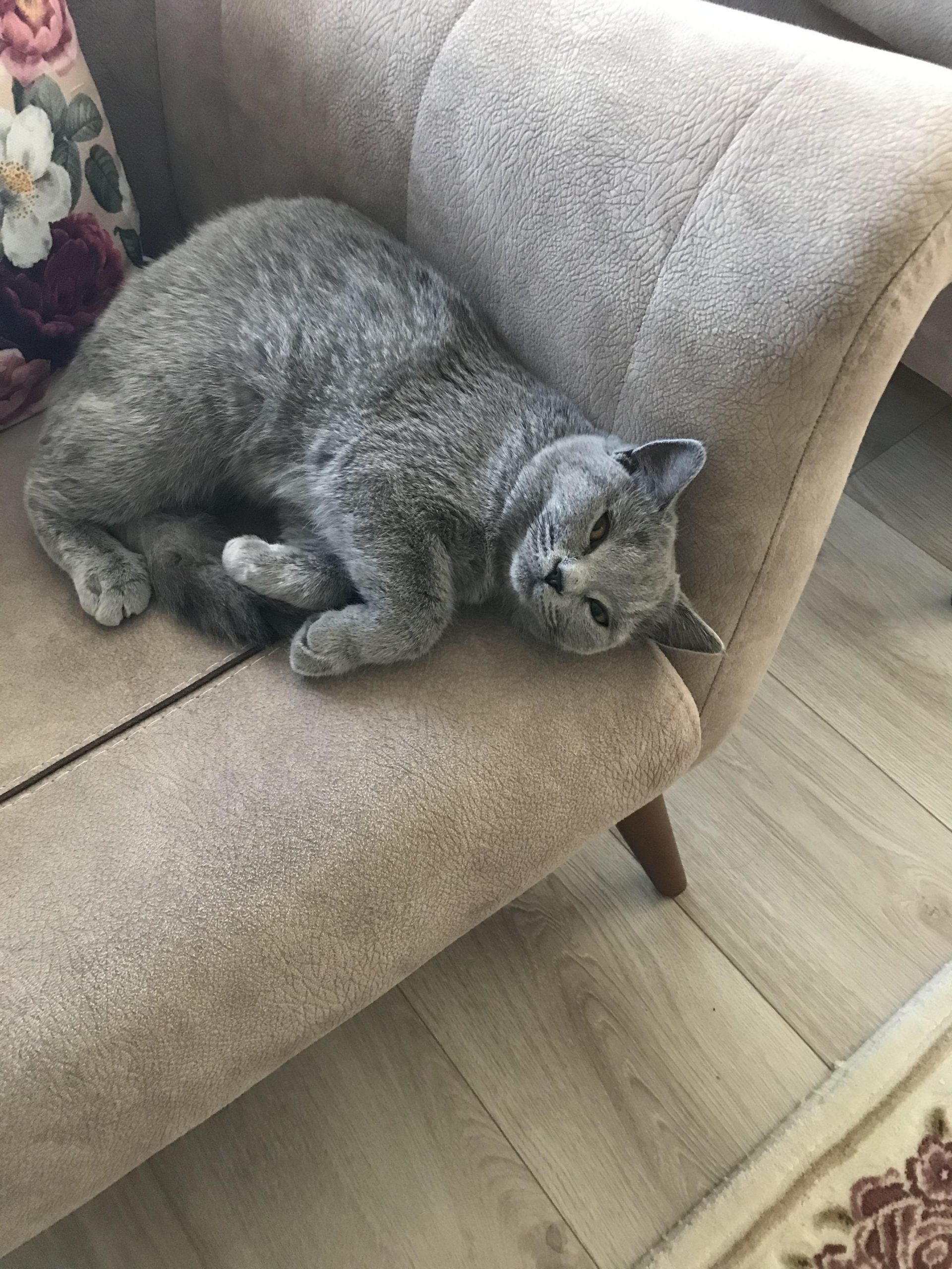 amatör by yasemin kurtulmuş - Ourboox.com