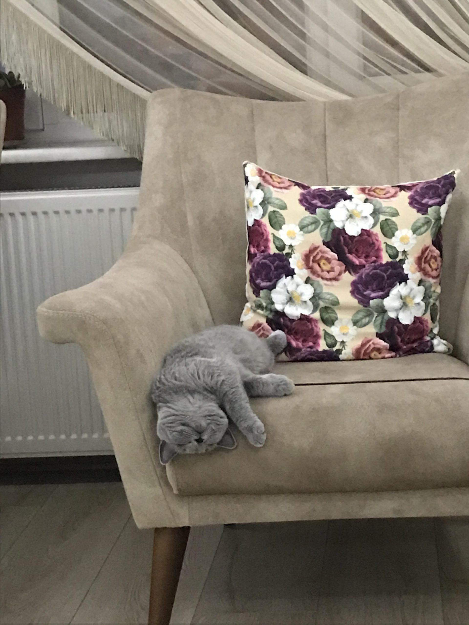 amatör by yasemin kurtulmuş - Ourboox.com