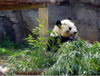 Zoo by Gal Gourian - Ourboox.com