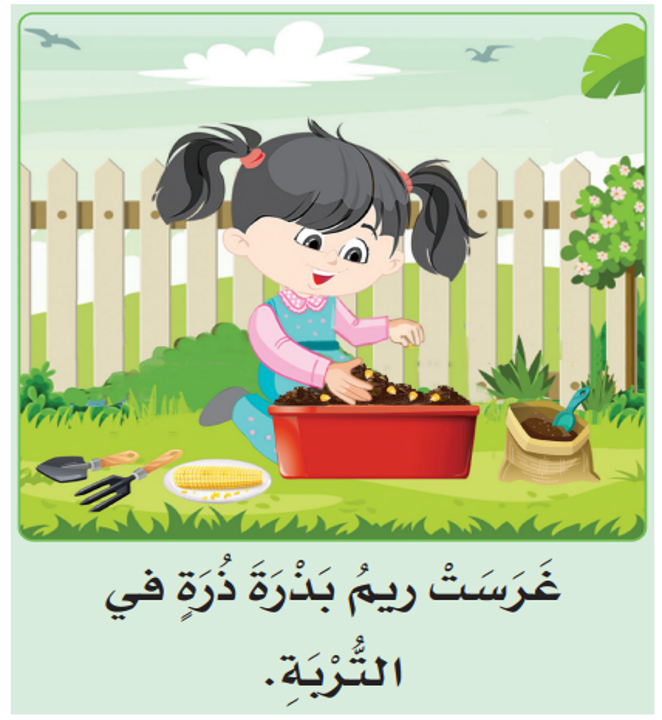 بذرة ريم by sara alhajri - Illustrated by سارة الهاجري - Ourboox.com