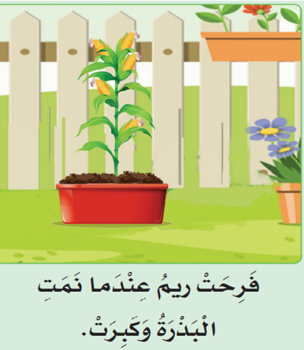 بذرة ريم by sara alhajri - Illustrated by سارة الهاجري - Ourboox.com