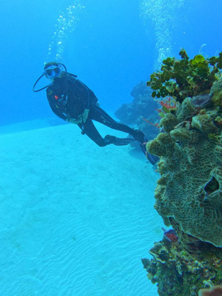 Under The Sea by mor goldstein - Ourboox.com