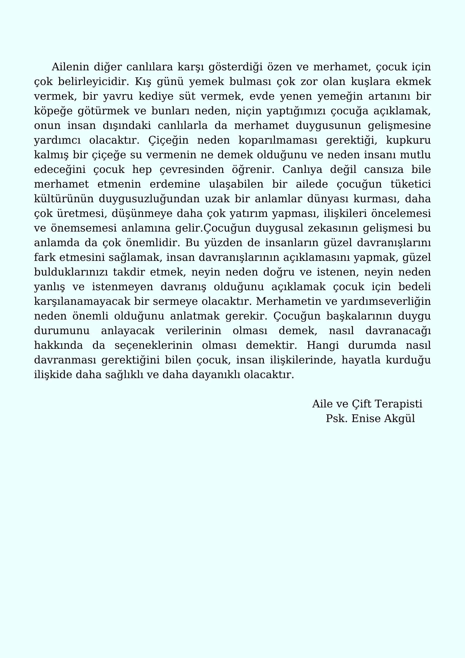 Sancaktepenin Keşif Gezegeni 15. Sayı by Keşif Gezegeni - Ourboox.com
