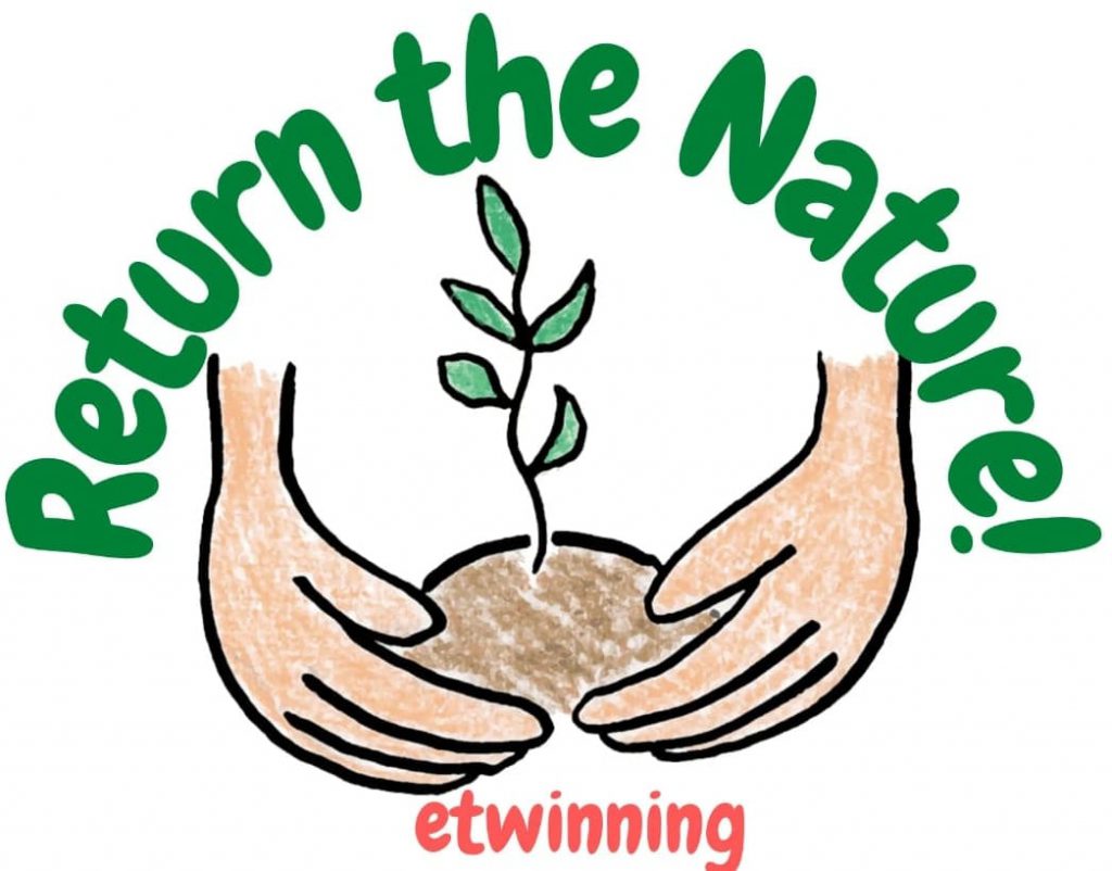 RETURN THE NATURE by Duygu Alsak - Ourboox.com