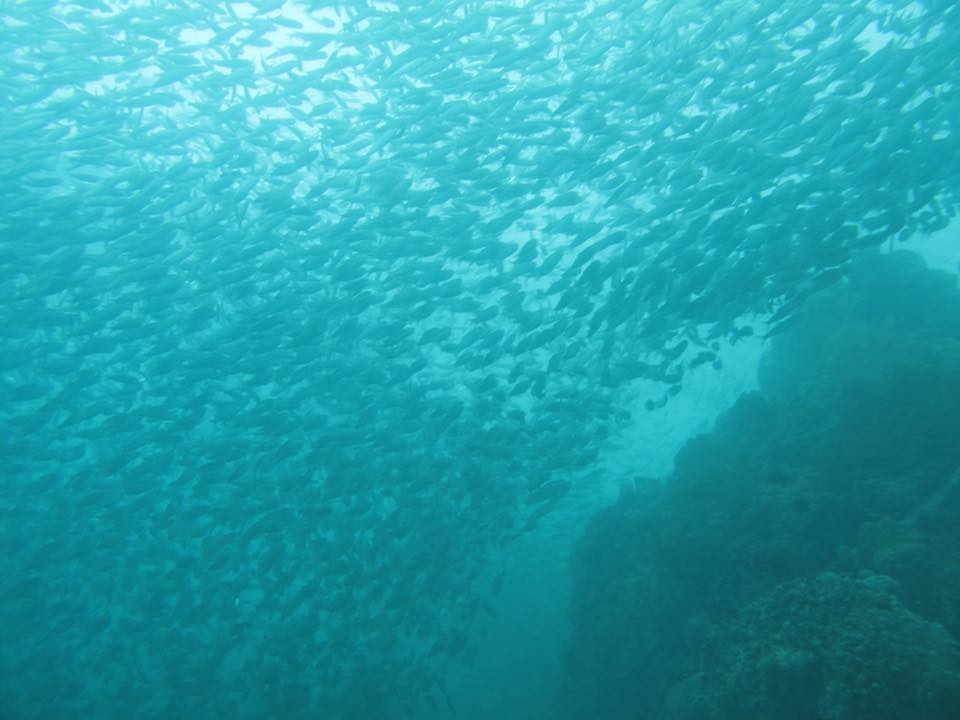 My trip to the East by Yuval Aspis - Ourboox.com