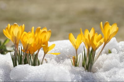 Я досліджую світ by Dod Anastasiya - Ourboox.com