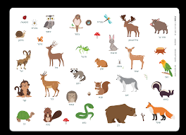 The Animals I love by:Hallel Rafaeli !!! by Noam Banot Pisgat Zeev - Illustrated by Hallel Rafaeli - Ourboox.com