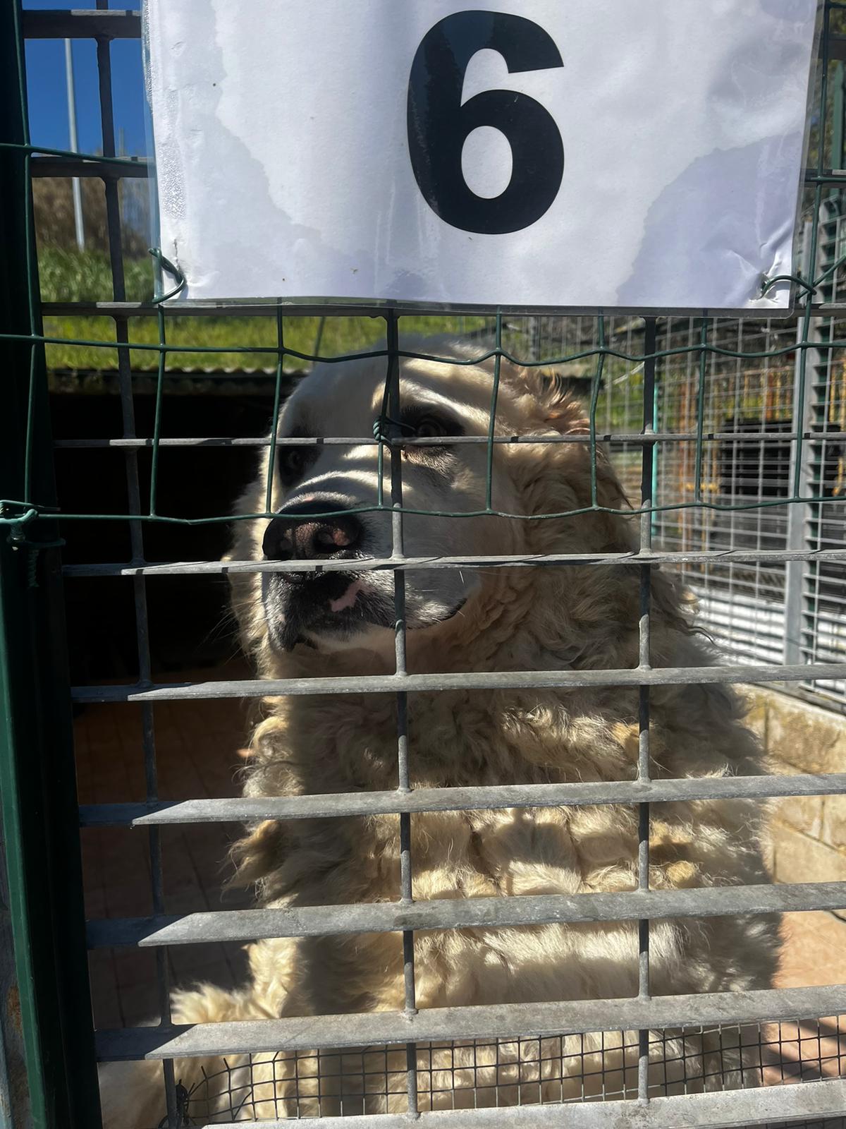 Noi cittadini in un mondo sostenibile by Alessio Pezzella - Illustrated by Pezzella Alessio, Mattia Motta, De Clerico Matteo, Strano Alessandro, Paoletti Christian, Benedetto Ferrara - Ourboox.com