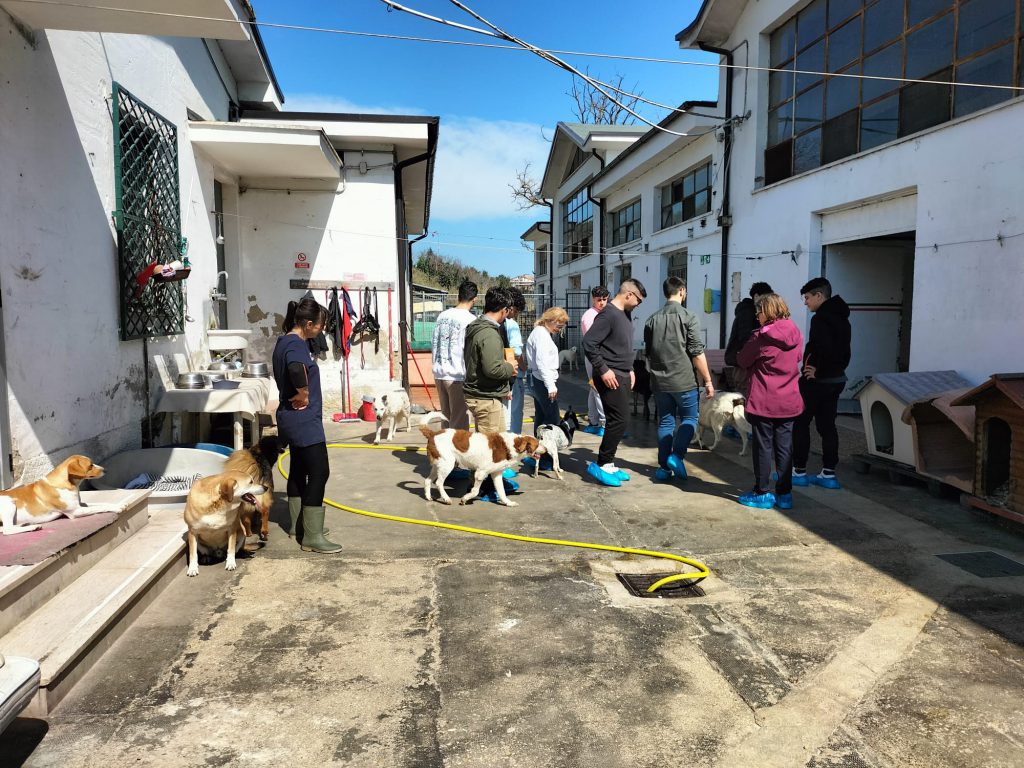 Noi cittadini in un mondo sostenibile by Alessio Pezzella - Illustrated by Pezzella Alessio, Mattia Motta, De Clerico Matteo, Strano Alessandro, Paoletti Christian, Benedetto Ferrara - Ourboox.com